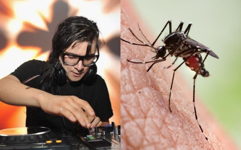 ခြင်မကိုက်ခံရအောင် Electronic Music ကို နားထောင်ပေးလို့ရပါတယ်တဲ့နော်