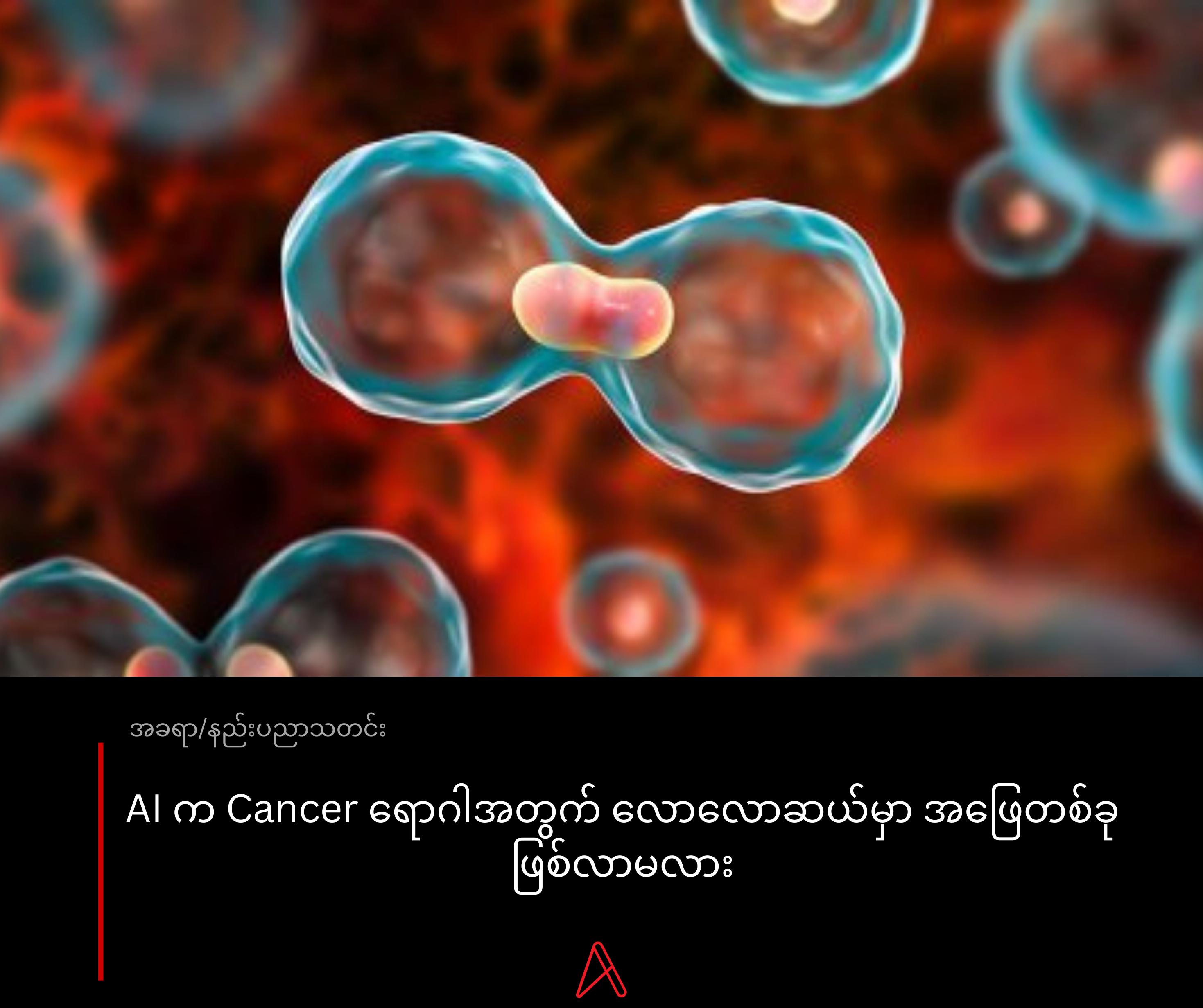 AI က Cancer ရောဂါအတွက် လောလောဆယ်မှာ အဖြေတစ်ခု ဖြစ်လာမလား