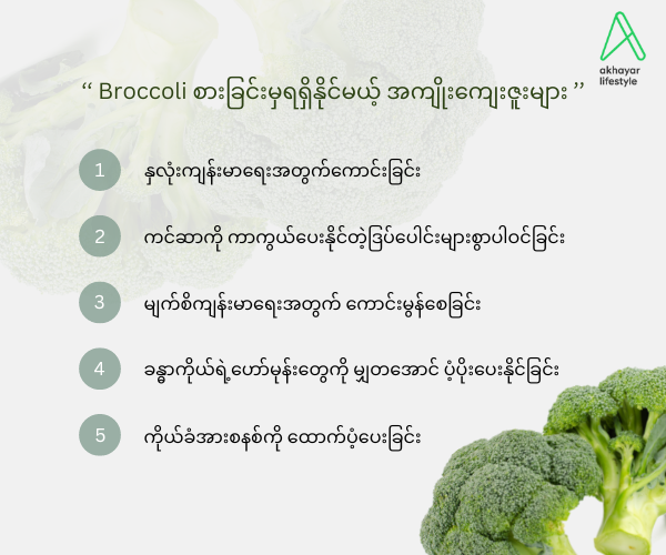 ‘‘ Broccoli စားခြင်းမှရရှိနိုင်မယ့် အကျိုးကျေးဇူးများ ’’