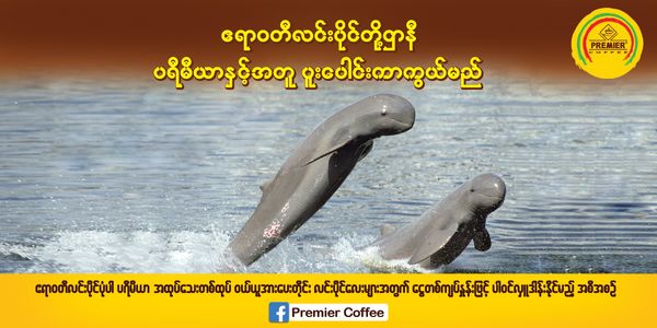 ပရီမီယာကော်ဖီက ဦးဆောင်၍ ဧရာဝတီလင်းပိုင်များကို ပူးပေါင်းကာကွယ်နိုင်မည့် လူမှုအကျိုးပြုအစီအစဥ် ကျင်းပပြုလုပ်