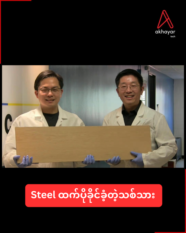 Steel ထက်ပိုခိုင်ခံ့တဲ့သစ်သား