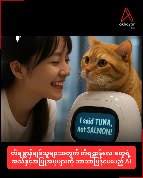 တိရစ္ဆာန်ချစ်သူများအတွက် တိရစ္ဆာန်လေးတွေရဲ့ အသံနှငင့်အပြုအမူများကို ဘာသာပြန်ပေးမည့် AI